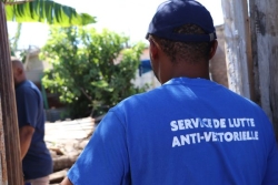 Chikungunya à Mayotte : la barre des 700 cas atteinte la semaine dernière