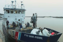La mission d'identification de l'épave découverte fin mai au large de Saint-Pierre a débuté