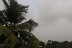 Mauvaise qualité de l'air en Guadeloupe, à Saint-Martin et Saint-Barthélemy, conséquence d'une brume de sable