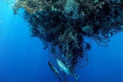 Unoc3 : les îles de l'océan Indien parmi les premières victimes