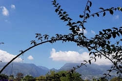 La Réunion : une nuit fraîche, une matinée ensoleillée et un après-midi plus nuageux