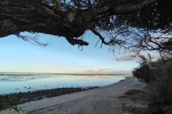 La Réunion : du soleil ce matin et en fin de journée, des nuages cet après-midi