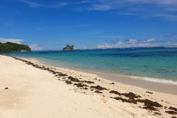 Unoc3 : les îles du Sud-Ouest de l'océan Indien déjà engagées pour la biodiversité