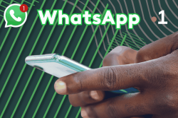 Les Outre-mer lancent leurs chaînes WhatsApp : un nouveau canal pour s'informer sur l'actualité ultramarine