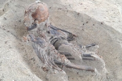 EN IMAGES. Un trésor archéologique Arawak à Sainte-Anne, un squelette entier retrouvé