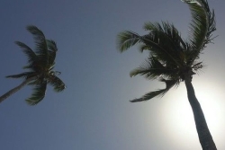Météo : une journée ensoleillée malgré de forts vents