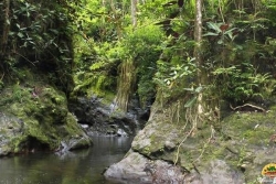 [MAJ] Vallée de la Fautaua : un homme décède après une grave chute