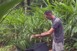 SÉ LA KAY NOU. Le jardin de l'herboristerie créole valorise les plantes médicinales au Gros-morne
