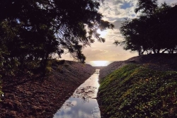 La Réunion : une matinée lumineuse dans l'Ouest, contrastée sur l'Est, avant un après-midi nuageux