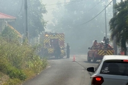 Un incendie ravage un terrain agricole de huit hectares à Petit-Bourg