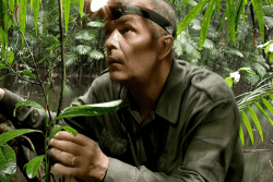 Disparition de Thierry Montford, photographe témoin de la forêt guyanaise