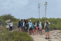 Petite-Terre : la biodiversité en exercice scolaire