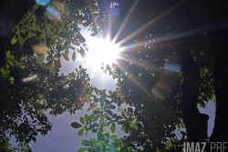 Fête de la musique 2025 : une météo au rendez-vous, une belle journée et une nuit étoilée attendue