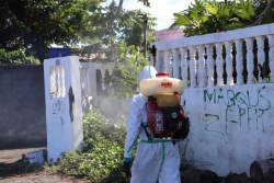 Chikungunya à Mayotte : le nombre de cas dépasse désormais le millier