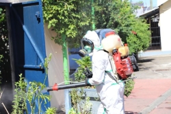 Contre le chikungunya, une opération de pulvérisation sera effectuée la nuit à Combani