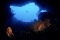 Mini-jeux du Pacifique 2025 : huit choses à savoir sur Palau