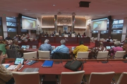 Le Cese en soutien du monde de la culture calédonien, secteur "sacrifié" dans la reconstruction