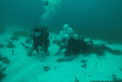 Réchauffement des eaux en Guadeloupe : une mission scientifique utilise les câbles télécoms pour surveiller la température des fonds marins