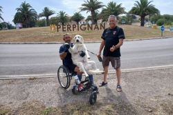INTERVIEW. Le Calédonien Nicolas Marfil fatigué mais heureux après sa traversée de la France en fauteuil