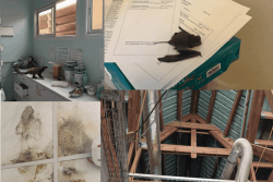 "La maternité de Kahani a été abandonnée", des chauves-souris et des makis envahissent les salles d'accouchement