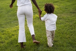 Monoparentalité : un modèle familial devenu majoritaire en Guadeloupe