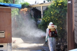 Chikungunya : risque-t-on dans l'Hexagone une épidémie de l'ampleur de celle de La Réunion ou de Mayotte ?