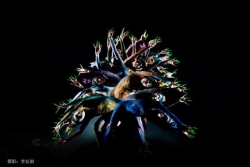 Le 54e festival culturel de Fort-de-France est ouvert jusqu’au 26 juillet