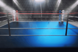 Un arbitre de boxe décède sur le ring