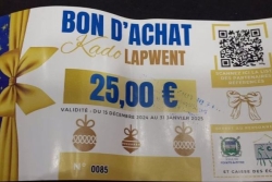Pointe-à-Pitre : les bons d'achat de fin d'année pour les agents municipaux annulés par la justice