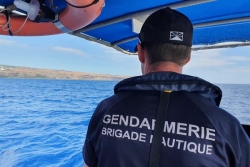 Saison des baleines à La Réunion : les nouvelles règles d’approche entrent en vigueur