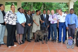 À Sainte-Lucie, l’agent canin Tyson, offert par la France, aurait été empoisonné