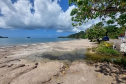 Les yoles rondes de Martinique ne sont pas au rendez-vous à Trinité cette année
