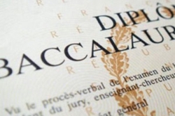Bac 2025 : 79,0 % d'admis au 1er tour en Guadeloupe, un chiffre en baisse... Découvrez tous les résultats de l'académie