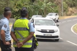 Sécurité routière : les fraudes aux permis de conduire dans le viseur des forces de l’ordre