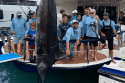 Concours international de pêche au gros "Blue Marlin", un bateau tahitien crée la surprise