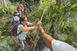 Forêt marécageuse de Golconde : un koudmen pour restaurer la mangrove aux Abymes