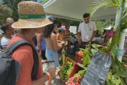 Le Végékréyol 2025 séduit plus de 4500 visiteurs à Goyave : un hommage vivant au végétal local
