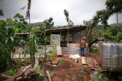 Cyclone Chido : la société GBH annonce faire un don d'un million d’euros aux agriculteurs mahorais