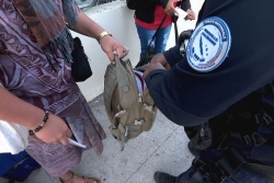 Descente de police dans le quartier des lycées, pointe de l'Artillerie, à Nouméa