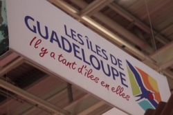 Comité du Tourisme des îles de Guadeloupe : les salariés sortent du silence pour soutenir Rodrigue Solitude
