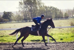 Le jockey réunionnais, Pierre-Alfred Grondin, est décédé d’un AVC à l’entrainement