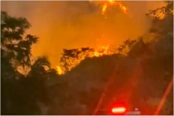 Feu de végétation à Saint-Pierre en Martinique : plusieurs hectares embrassés, mais la situation est sous contrôle