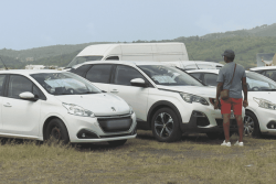 VIDEO. Enchères automobiles : entre passion, business et bonnes affaires en Martinique