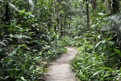La CACL participe au City Nature Challenge et finit dans le Top 10 mondial
