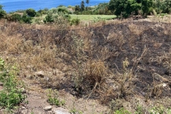 Feux de broussailles en juillet : la sécheresse liée au dérèglement climatique inquiète