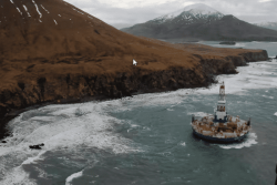 Séisme au Sud de l’Alaska, pas de risque de tsunami en Polynésie française