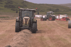 À Miquelon, la stratégie de fauchage des prairies permet de produire du foin de qualité en quantité