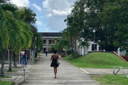 Des retards dans la délivrance des diplômes à l'Université des Antilles