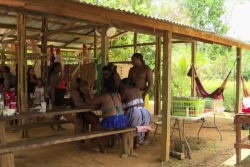 Vacances en Guyane : quelles précautions prendre en carbet ?