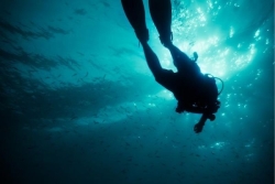 FAITS DIVERS. Une touriste de 59 ans décède lors d'une plongée sous-marine